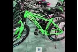 دوچرخه رنگارنگ پرسرعت تایوانی